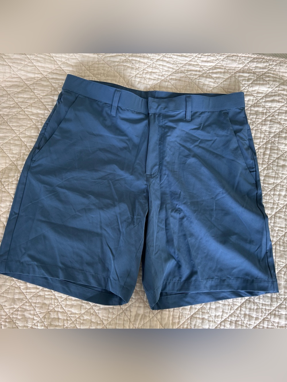 Fabletics Men's Blue Athletic Shorts/Golf Shorts